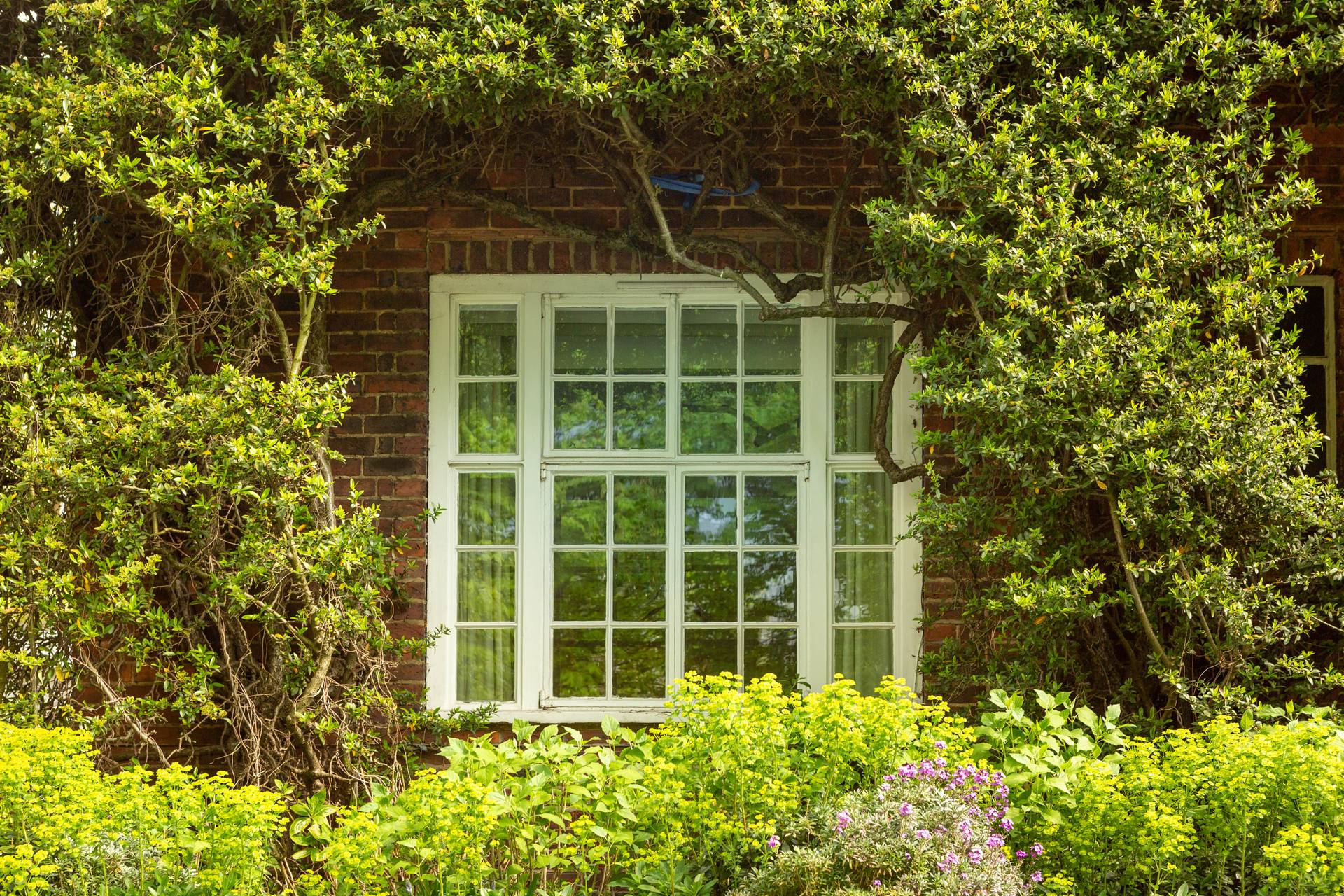 Optimising Home Security And Energy Efficiency With Casement Windows In Billingham